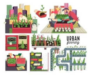 Urban Farming Expo Network